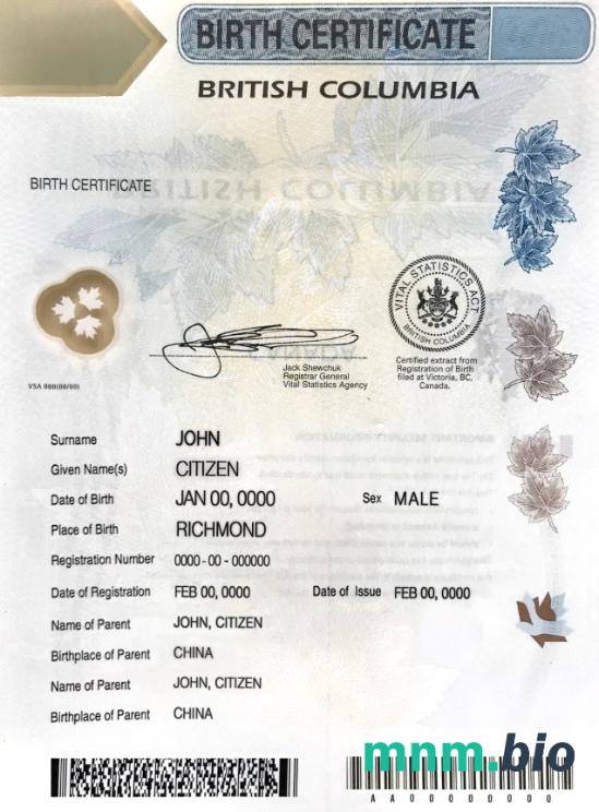 Canada British Columbia Birth Certificate szablon w PSD